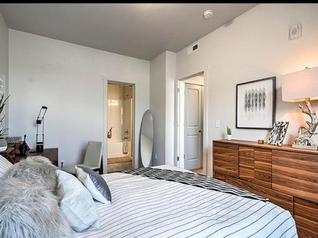 The Unique'S Apartment IV Roşu エクステリア 写真